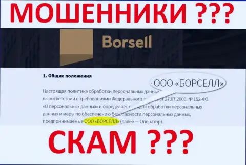 ООО БОРСЕЛЛ это организация, управляющая internet ворюгами Borsell Ru