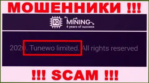 Обманщики Tunewo Limited утверждают, что именно Tunewo Limited владеет их лохотронном