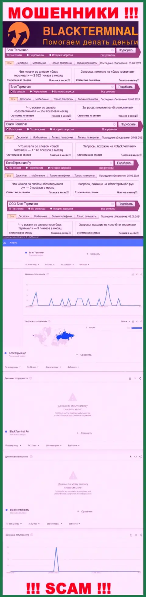 Число online-запросов данных о мошенниках BlackTerminal Ru во всемирной internet сети