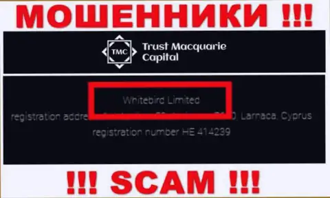 На официальном интернет-ресурсе Trust-M-Capital Com говорится, что данной организацией руководит Whitebird Limited