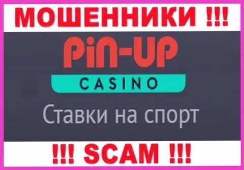 Основная деятельность PinUp Casino - Casino, будьте осторожны, промышляют незаконно