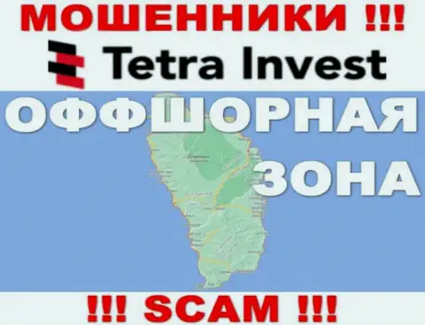 В компании Tetra-Invest Co абсолютно спокойно оставляют без денег наивных людей, т.к. прячутся в оффшорной зоне на территории - Dominica