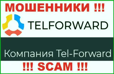 Юридическое лицо Тел-Форвард - это Tel-Forward, именно такую информацию опубликовали мошенники у себя на сайте
