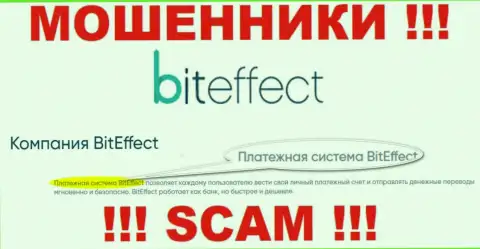 Осторожнее, направление работы BitEffect, Система платежей - это кидалово !!!