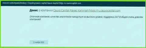 Брокерская компания CauvoCapital представлена в комментарии на информационном портале Revocon Ru