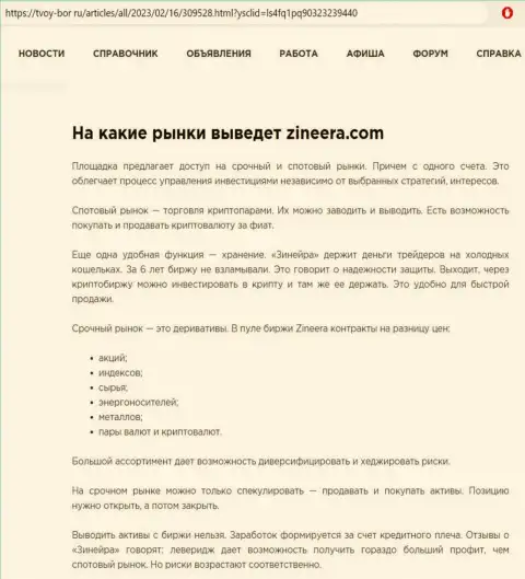 Информационная публикация о внушительном ряде финансовых инструментов для спекулирования дилингового центра Зиннейра Ком, выложенная на сайте tvoy-bor ru